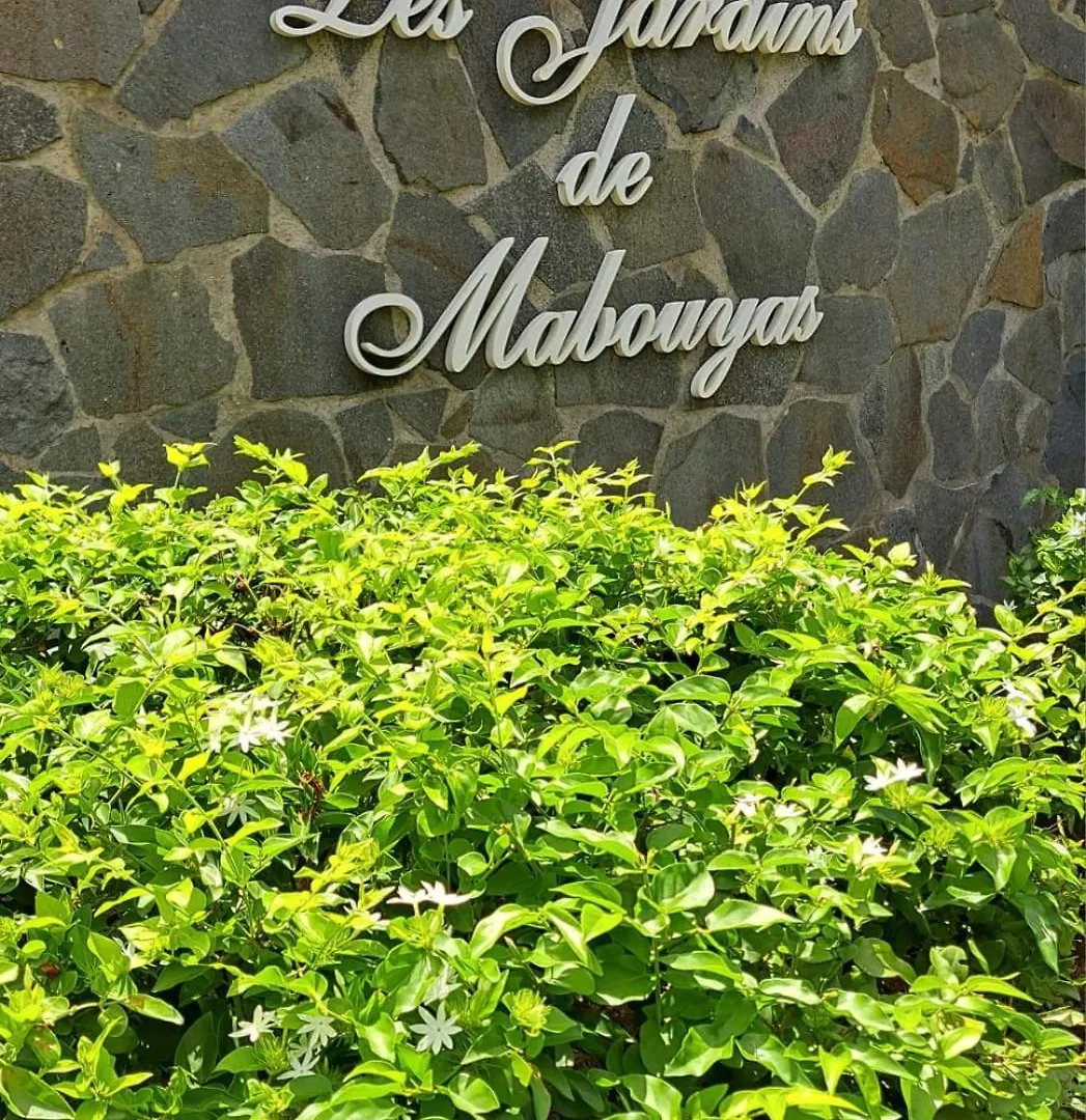 Apartamento Ste Luce, N° 11 Appart -300M Plage De Mabouyas Corps de Garde Martinica