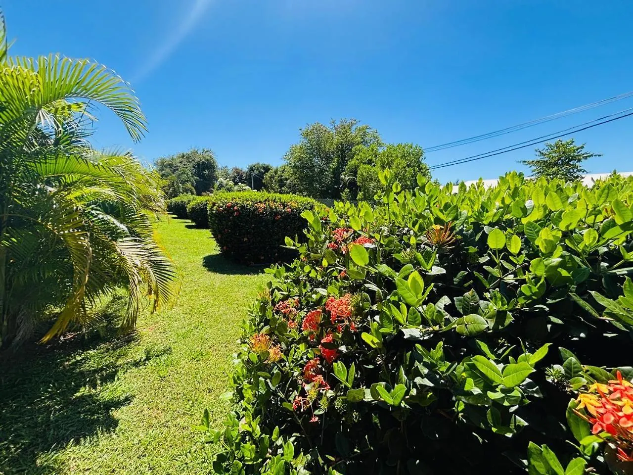 Apartamento Ste Luce, N° 11 Appart -300M Plage De Mabouyas Corps de Garde